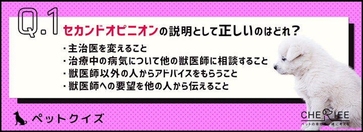 【クイズ】気まずい？遠慮しちゃう？ペットのセカンドオピニオンとはのアイキャッチ画像