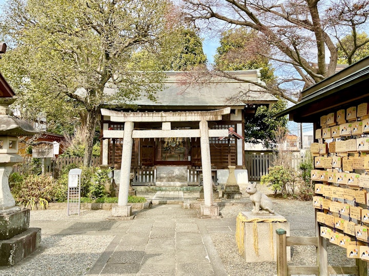 猫,猫返し神社,阿豆佐味天神社,おでかけ