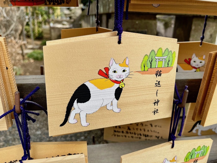 猫,猫返し神社,阿豆佐味天神社,おでかけ
