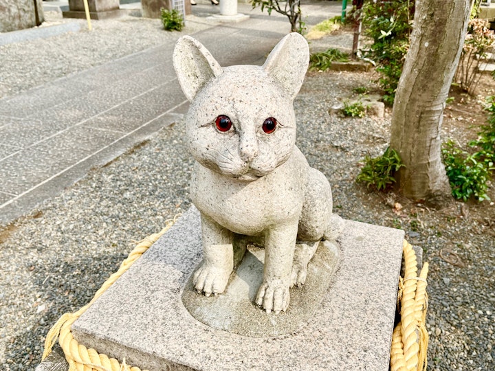 猫,猫返し神社,阿豆佐味天神社,おでかけ