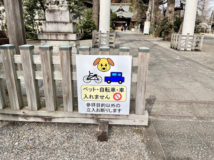 猫,猫返し神社,阿豆佐味天神社,おでかけ