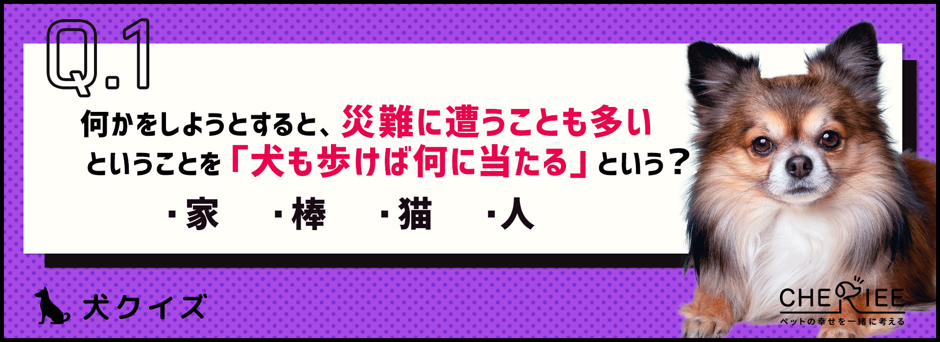 【クイズ】習性が表れている！「犬」が含まれることわざとは