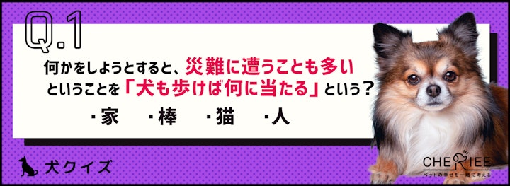 【クイズ】習性が表れている！「犬」が含まれることわざとはのアイキャッチ画像