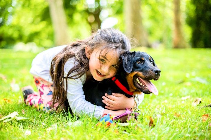 犬,噛み,吠え,トイレ,飼う前