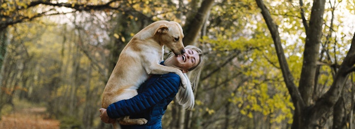 ドッグホテル,練習,犬,お泊り練習