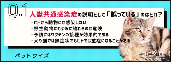 【クイズ】ペットを飼っているなら人獣共通感染症に気をつけよう！のアイキャッチ画像