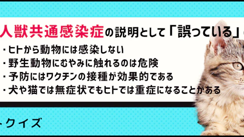 【クイズ】ペットを飼っているなら人獣共通感染症に気をつけよう!のアイキャッチ画像