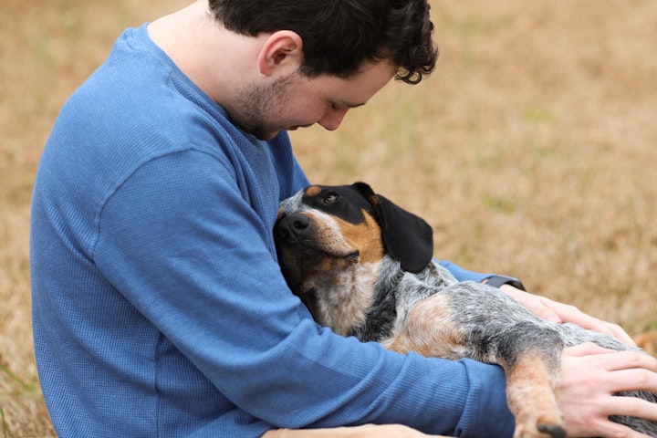 犬,犬の保育園.ドッグホテル,ペットシッター,ペットホテル,出張トレーニング