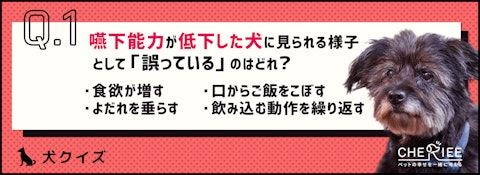 【クイズ】シニア犬は飲み込む力が衰える？食事環境を見直そう！のアイキャッチ画像