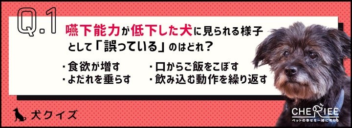 【クイズ】シニア犬は飲み込む力が衰える？食事環境を見直そう！のアイキャッチ画像