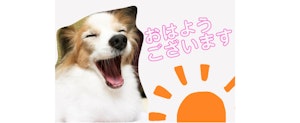 愛犬,愛猫,ペット,スタンプ,LINE