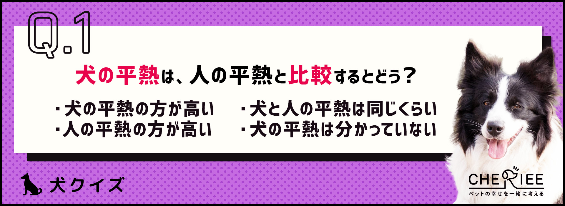 【クイズ】犬の体温ってどのくらい？知っておきたい愛犬の平熱