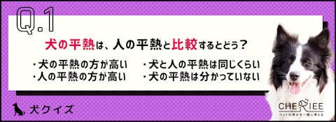 【クイズ】犬の体温ってどのくらい？知っておきたい愛犬の平熱のアイキャッチ画像