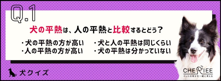 【クイズ】犬の体温ってどのくらい？知っておきたい愛犬の平熱のアイキャッチ画像