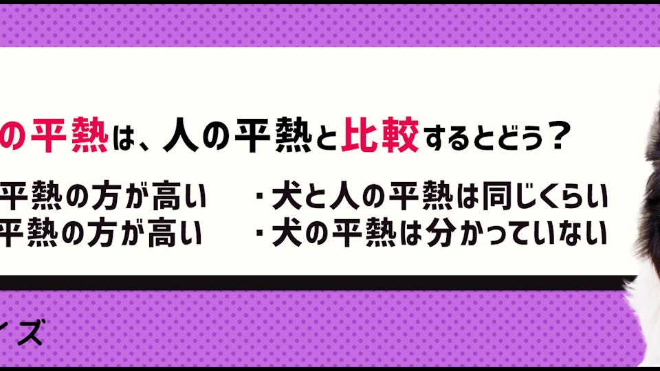 【クイズ】犬の体温ってどのくらい?知っておきたい愛犬の平熱