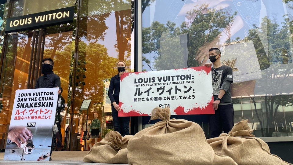 ルイ・ヴィトン表参道店前で、3か月袋に監禁された末殺される、ヘビのためのアクション