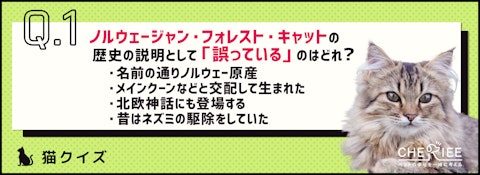 【クイズ】ノルウェージャン・フォレスト・キャットって知ってる？のアイキャッチ画像