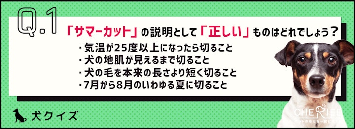 【クイズ】短すぎると危険?!暑い夏に知っておきたいサマーカットのアイキャッチ画像