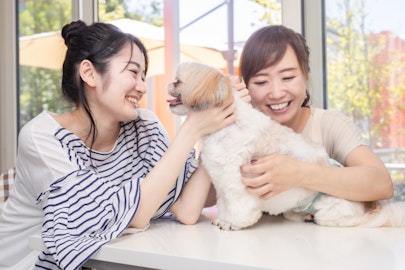 癒しや安らぎが得られる!アニマルセラピーの種類と効果とは?のアイキャッチ画像