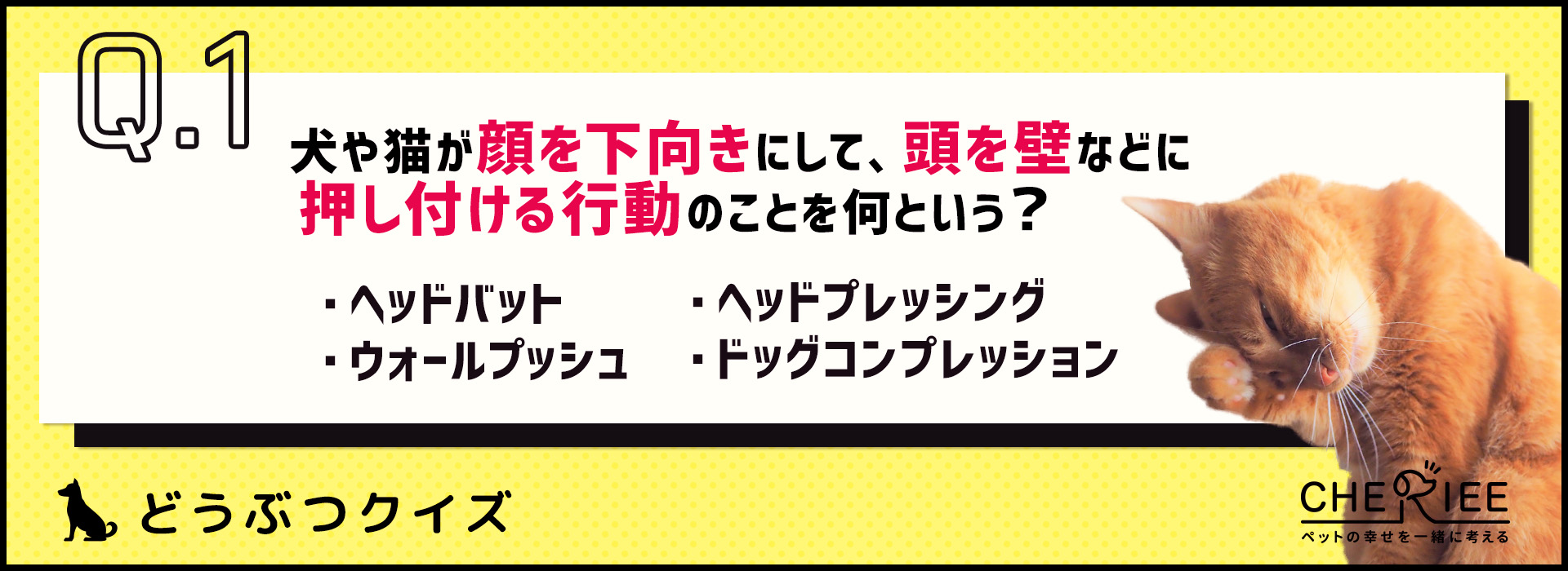 【クイズ】かわいいけど要注意！？犬や猫の反省ポーズとは