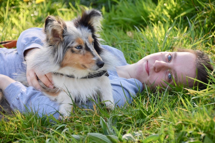 犬,仮病,病気,コミュニケーション,スキンシップ