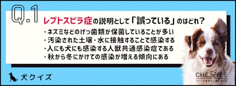 【クイズ】梅雨の時期は要注意！レプトスピラ症ってどんな病気？のアイキャッチ画像