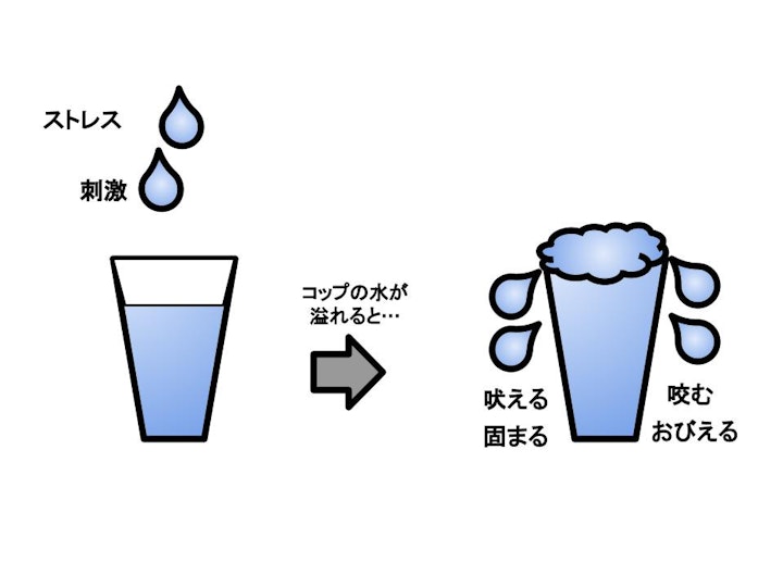 トレーニング,問題行動,心の器,犬,しつけ