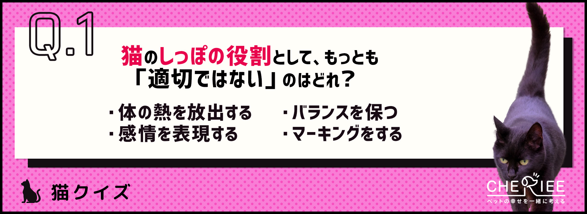 クイズ 猫のしっぽの役割と 動きからわかる感情とは シェリー ペットの幸せを一緒に考える