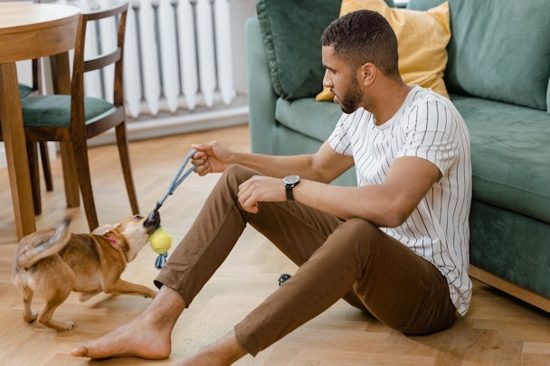 犬との生活で気を付けたい！やりがちな「〇〇しっぱなし」7選のアイキャッチ画像