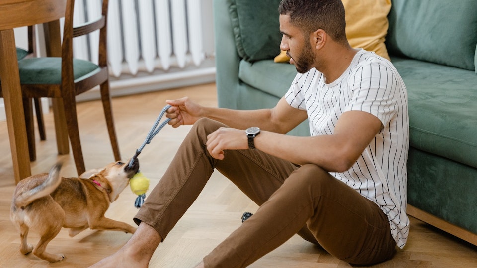 犬との生活で気を付けたい!やりがちな「〇〇しっぱなし」7選