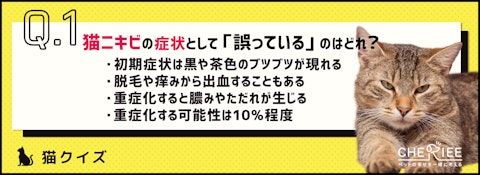 【クイズ】気をつけたい猫ニキビ！原因を知って対策しようのアイキャッチ画像