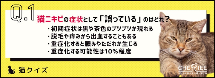 【クイズ】気をつけたい猫ニキビ！原因を知って対策しようのアイキャッチ画像