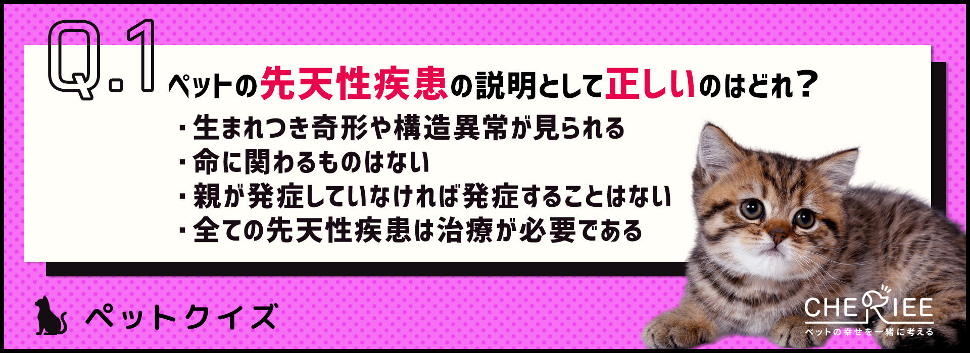 【クイズ】知っておきたい犬や猫の先天性疾患