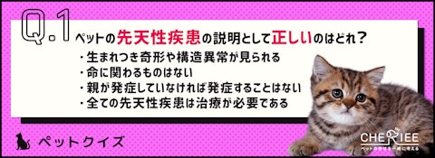 【クイズ】知っておきたい犬や猫の先天性疾患のアイキャッチ画像