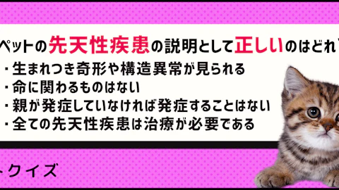 【クイズ】知っておきたい犬や猫の先天性疾患のアイキャッチ画像
