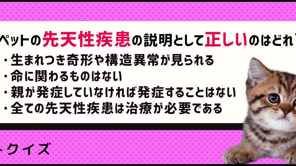 【クイズ】知っておきたい犬や猫の先天性疾患
