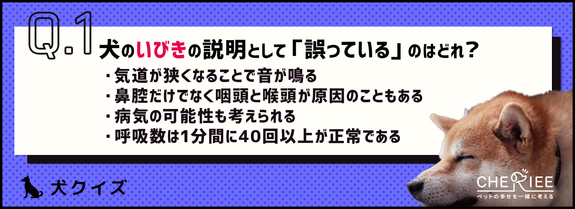 【クイズ】犬がいびきをかく理由とは？