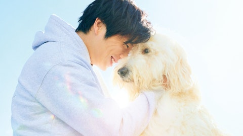 動物を愛するすべての方へ!この夏おすすめの最新映画『ハウ』の魅力をご紹介のアイキャッチ画像