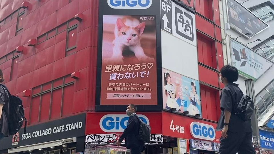 PETAのビルボード「あなたのヨガパートナーは動物保護施設にいます」