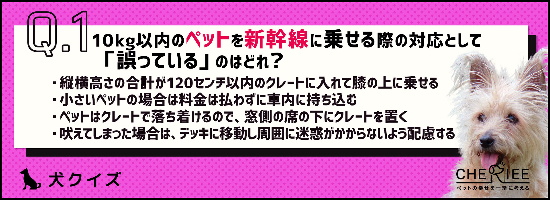 【クイズ】マナー違反になってない？ペットの電車・新幹線乗車ルール
