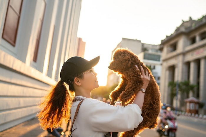 犬,耳の形,立ち耳,垂れ耳,犬種