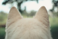 記事カテゴリ第5位