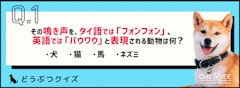 記事カテゴリ第3位