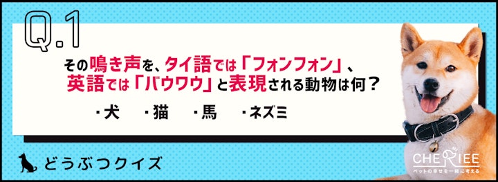 【クイズ】この動物の鳴き声、海外ではなんて表現されてる？のアイキャッチ画像