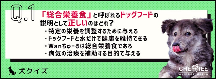 【クイズ】今こそ再確認！愛犬にドッグフードを正しく与えてる？のアイキャッチ画像