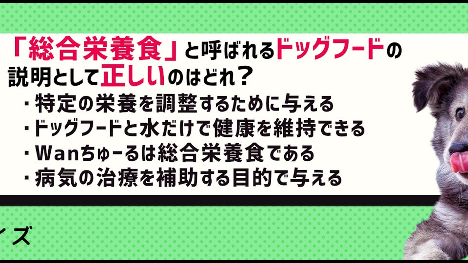 【クイズ】今こそ再確認!愛犬にドッグフードを正しく与えてる?
