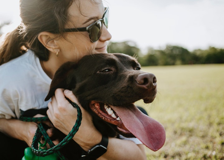 ドッグスポーツ,トリミング,散歩,特徴,犬,犬種