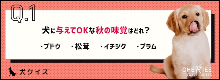 【クイズ】食欲の秋!知っておきたい犬がOKの味覚とＮGの植物のアイキャッチ画像