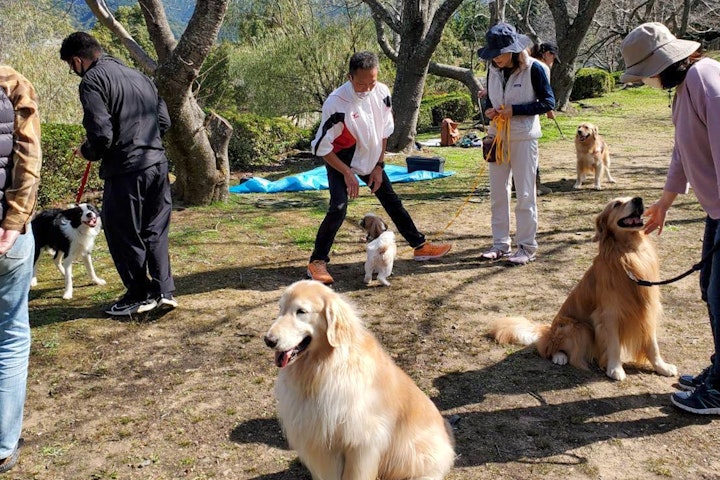 しつけ,ドッグトレーナー,トレーニング,犬,犬の仕事,飼い主,飼い方