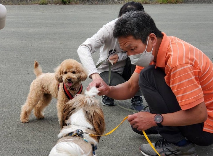 しつけ,ドッグトレーナー,トレーニング,犬,犬の仕事,飼い主,飼い方